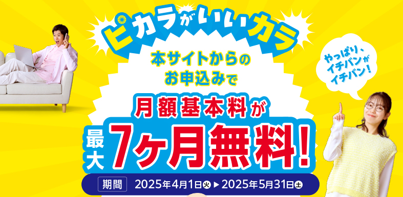ピカラ光の画像