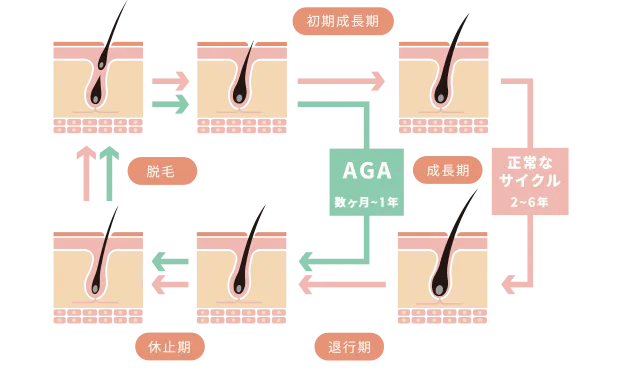 AGAスキンクリニックの画像